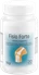 Fisio Forte